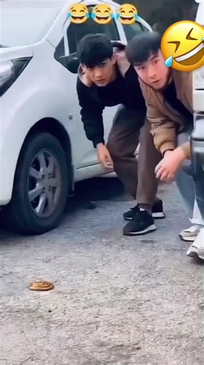 Exploring Smart Bots in Modern Technology