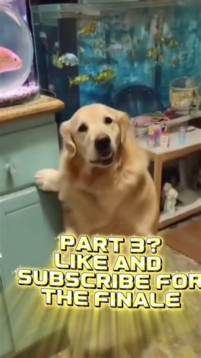 DEAD ROACH VS FLAMETHROWER pt 2 #shorts #memes #aivideo #animation #memearchive #cringe #fyp