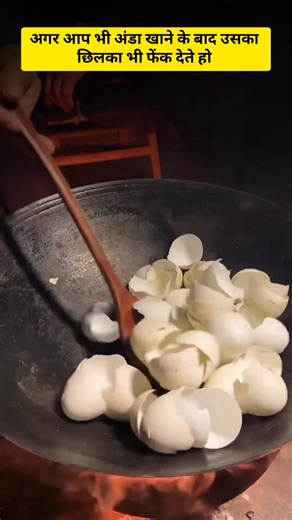 egg shell powder business #businesskaisekarein