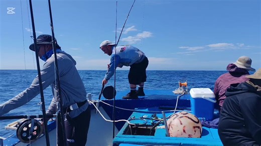Deep sea fishing in Durban on Simply the best fishing charters South Africa #bigfish #deepsea #fishing #saltlife