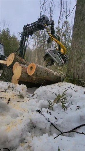 This machine is 28 years old 😳 Talk about vintage advanced tech! | Logger Mack