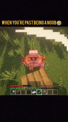 Minecraft: you’ve seen noobs… #minecraft