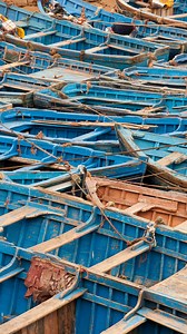 Opacarophile (n.) A person who loves sunsets. The word opacarophile can be. broken down into two parts: ‘opacare’ which is Latin for. dusk or sunset, and ‘phile’ which is Greek for love. #opacarophile #sunsets #sunsetlovers #sunsets_captures | Tunisianbedouin