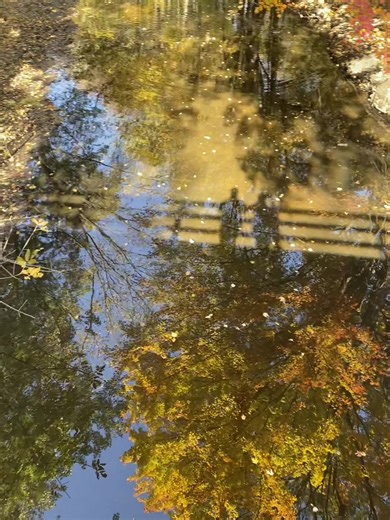 #fall #beauty #autumn