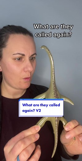 Unveiling the Mysteries of Plesiosaurs in Paleontology