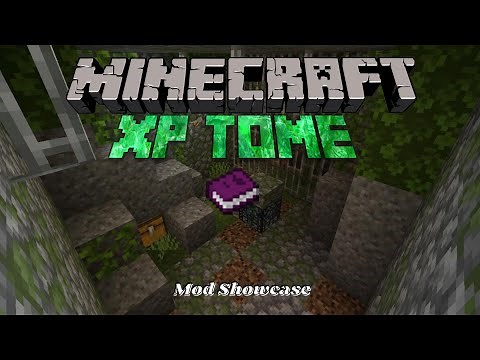 Minecraft Mod Showcase [1.16.5] | Xp Tome | Mod Review