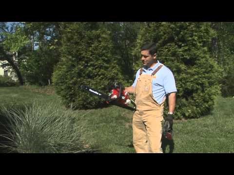 Divide Grasses the Easy Way