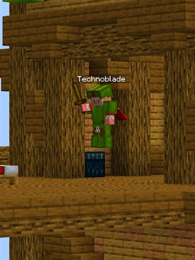 Technoblade's Epic Minecraft Bedwars Moments
