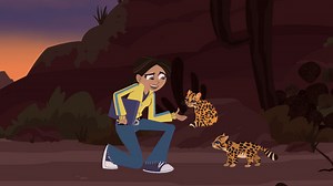 Wild Kratts - Ocelot Video | PBS KIDS