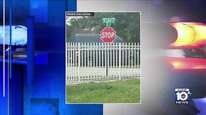 2K views · 25 reactions | LOCAL 10 RIGHT NOW! Police are investigating a deadly shooting that happened early Saturday morning in Miramar, and a man was arrested for allegedly stealing an Amazon delivery van and robbing its driver. Local 10's Alex Finnie and Andrew Perez have the latest. | WPLG Local 10 | Facebook