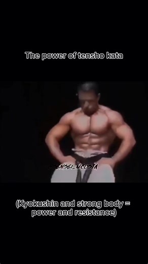 Tensho no Kyokushin é respiração, controle e espírito. Um kata suave na forma, mas profundo na essência, onde cada movimento carrega equilíbrio, tensão interna e consciência total. Não é sobre força bruta é sobre dominar o corpo e a mente em harmonia. #Tensho #Kyokushin #Kata #Budo #EspíritoDoKarate #senseimcosta