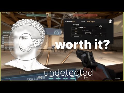 reviewing the valorant "undetected" aim assist