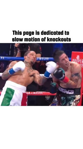 Knockouts Slow Motions on Instagram: "Best uppercut knockout ever🔥 @knockouts_slowmotions #boxingfight #boxingfanatik #boxingfan #boxinglifestyle #boxinglegend #boxingfamily #boxingtraining #boxinghistory #boxingday #boxinglife #boxing👊 #boxinggym #boxingworkout #boxinggloves #boxingworld #boxingnews #uppercut #boxing #boxer #fight #knockout #sport #legend #goat #champion #gervontadavis #tankdavis #slowmotion #slowmotionvideo"