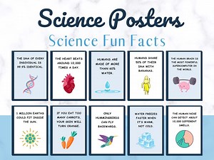 Fun Facts Science Posters, Science Classroom Decor, Science Posters, Science Printable Posters, Biology Posters, Science Teacher,class Decor - Etsy
