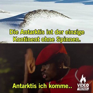 2.2M views · 2.2K shares |  | Video Trends | Facebook