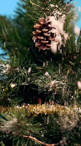 8.6K views · 11 reactions | Fake snow DIY… winter magic at home ❄️ | Beauty Hacks | Facebook