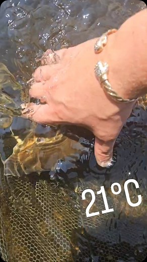 Pure Gold! It’s easy to see why targeting Barbel is so popular, those burnished gold scales, the almost mythical fights that they give, they really are the price of the river! We have bait products aplenty to help you get more of these amazing fish in your nets. https://vortexbaits.com #vortexbaitsofficial #fishinglife #banklife #barbel #youdeservethebest | Vortex Baits