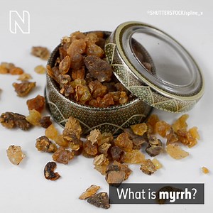Myrrh has been an important religious symbol for a very long time. But did you know it also has a number of medicinal uses? Museum Curator Dr Jovita Yesilyurt explains. Discover more about medicines that are powered by plants: https://nhmlondon.org/Myrrh-Dec21 | Natural History Museum, London