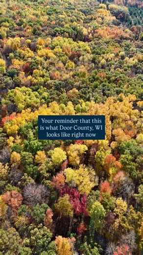 862 reactions · 77 shares | Welcome to leaf-peeping paradise  The trees are showing off and Fresh Coast puts you right in the heart of it all. Book your Fish Creek stay today and catch peak color! #leafpeeping #fallinwisconsin #fishcreekwi #travelwisconsin #doorcounty #doorcountywi #fishcreek | Fresh Coast Motel | Facebook