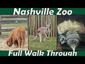 Walk Through: Nashville Zoo in Nashville, TN. (Mar. 19th, 2025)
