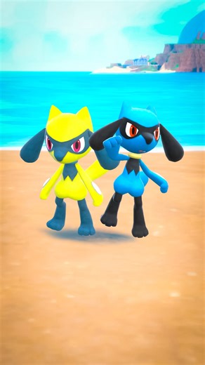 PokeSeñora | Shiny and non shiny Riolu evolving Which is your favorite? / ¿Cuál es tu favorito? Tags:... | Instagram