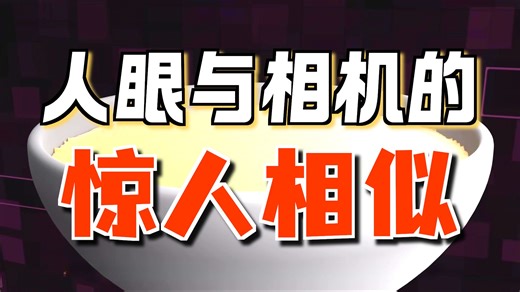 【双语音】Branch Education | 理解相机与光学 | Understanding Cameras & Optics