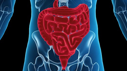 How to Become an 'Ink Master': Endoscopic Colonic Tattooing Tips