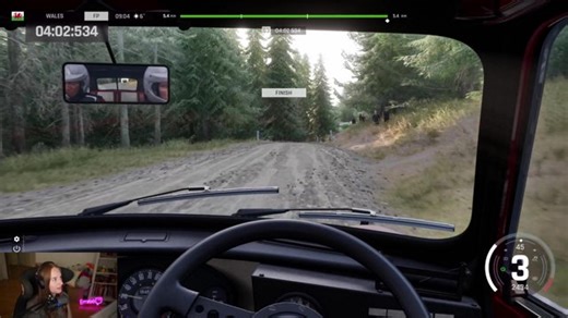 Trying this new rally game