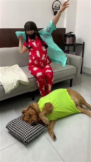 Honey, cover yourself with more blankets. #PregnantMom #Couple #Dog #GoldenRetriever