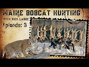 Rick Labbe Hunts Bobcats with Hounds: A Centuries-Old Tradition in Maine | Episode 3