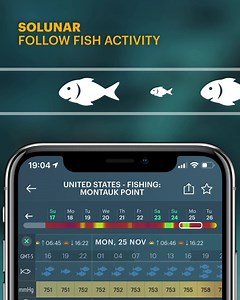 Find your fishing spot in WINDY APP  | Windy.app | Facebook