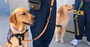 Donovan State Prison's 'Echo Yard' takes innovative approach to rehabilitation, reduce recidivism