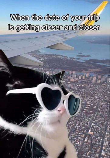 Essential Travel Tips for Your Next Adventure