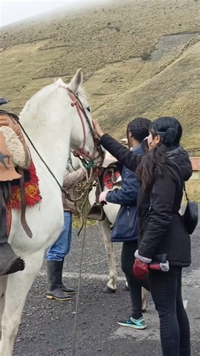 Chimborazo Basecamp 🏔️ on Instagram: "Experience an unforgettable horseback riding adventure at Chimborazo Base Camp 🐎❄️ and explore breathtaking Andean landscapes at the foot of Ecuador’s highest volcano. Nature, culture, and adventure come together in one unique eco-experience. 📍 Chimborazo – Ecuador 📱 +593 939958499 🔗 www.chimborazobasecamp.com #chimborazobasecamp #horsebackriding #ecuadorecoadventure #andesexperience #glamping #travelecuador"