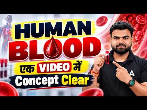 Human Blood Complete Concept Explained in One Video 2026