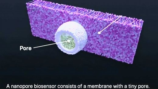纳米孔生物传感器