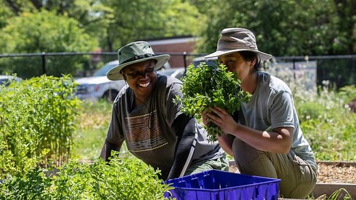 These urban farms are helping feed people who struggle to pay for food
