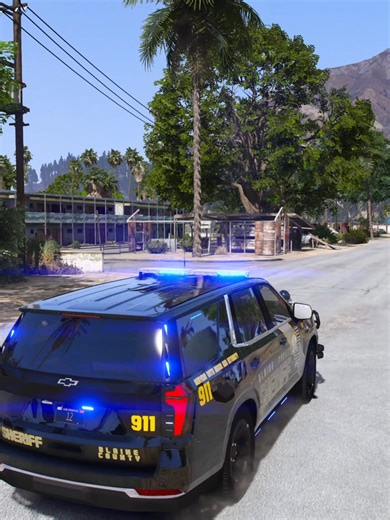 Just Another Day In Shady Shores #lspdfrmod #leorp #homelessman #bcso #gta5rp