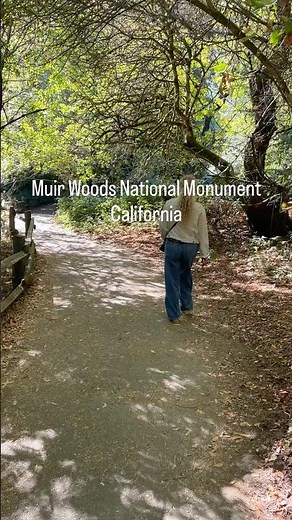 Walking Among Giants 🌲 | Muir Woods National Monument Afternoon Visit