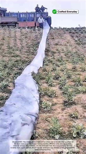 Efficient Fish Transfer from Truck to Pond Using Water Slide Method #craftedeveryday