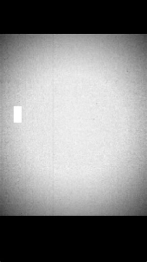 reast in peas 2010-2025 🕊️