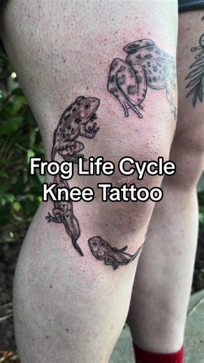 Frog Life Cycle Knee Tattoo: A Charming Gift