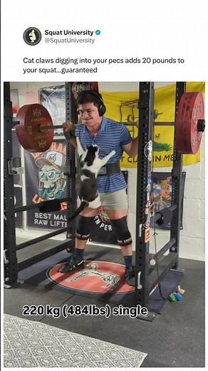 HIS CAT Joined His Squat Workout!🤯