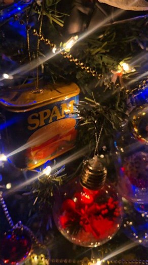 It's been a wild two days. Still exhausted. Merry Christmas and love you all! #christmas2025 #christmasdecor #christmastree | Shawn Daniel