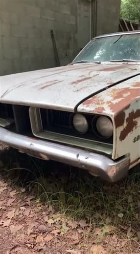 Abandoned Dodge Charger Found Beside an Old Shed #DodgeCharger #1960sMuscle #ClassicMuscle