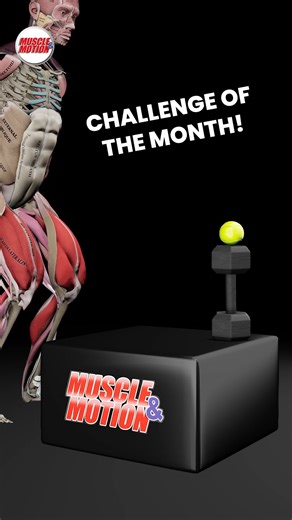 Muscle and Motion on Instagram: "Explosiveness Challenge of the Month: Can You Land Without Dropping the Ball? 🏋️‍♂️🎯 This month, we’re testing your power ⚡, precision 🎯, and landing control with the ultimate Box Jump Challenge. On top of the box sits a dumbbell, with a ball balanced on it. Your mission is to stick the landing without letting the ball fall. This challenge is not just about jumping high. It’s about reaching the right height and absorbing the landing by using your muscles 💪 in