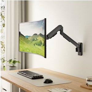 [Hot Item] Gas Spring Assist Monitor Wall Mount, Stop Stay Gas Spring, Friction Locking Compression Gas Springs