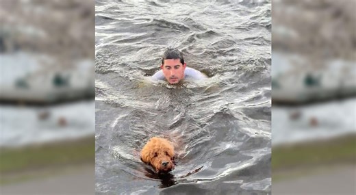 Man jumps into frigid Charles River to save dog chasing geese on Marathon Monday