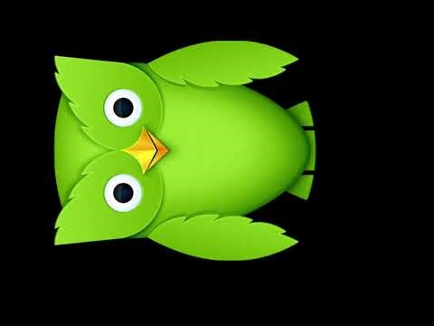 Evolution of Duolingo 2010-2019