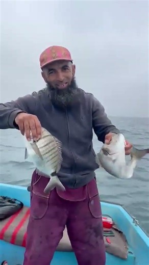 Fishing in Algeria (la pêche en algérie) Dorado fish....2026